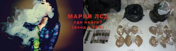 дживик Вязьма