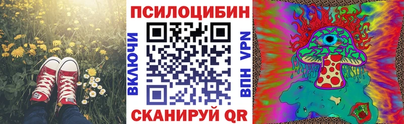 Псилоцибиновые грибы Psilocybine cubensis  Дно 
