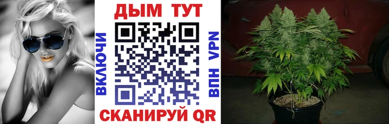 хочу наркоту Дно Марихуана Amnesia